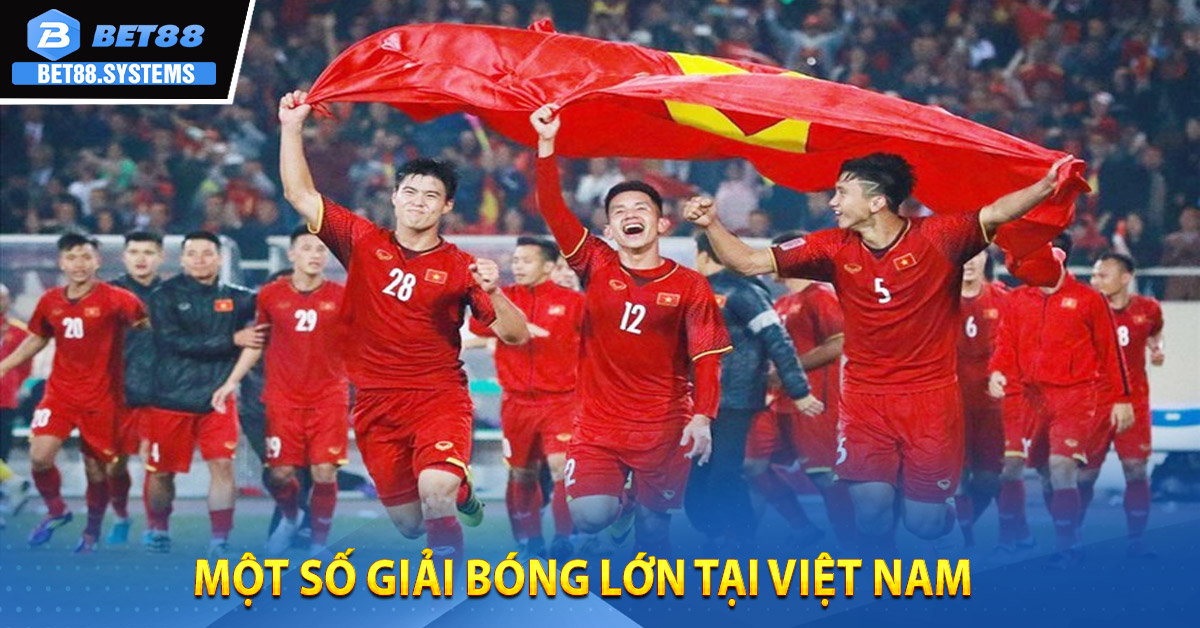 Một số giải bóng lớn tại Việt Nam